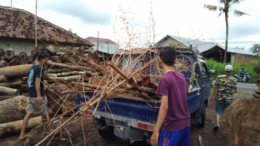 Guyub Rukun dengan Pemuda mencari Carang