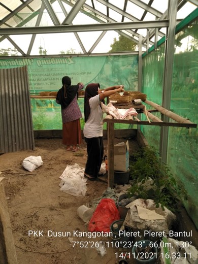 Pemantauan dan Persiapan Tempat Tanaman